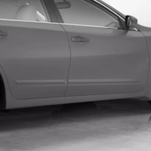 Body Side Moldings, Driver Side