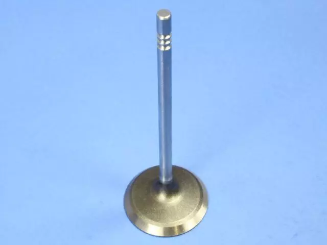 Engine Intake Valve