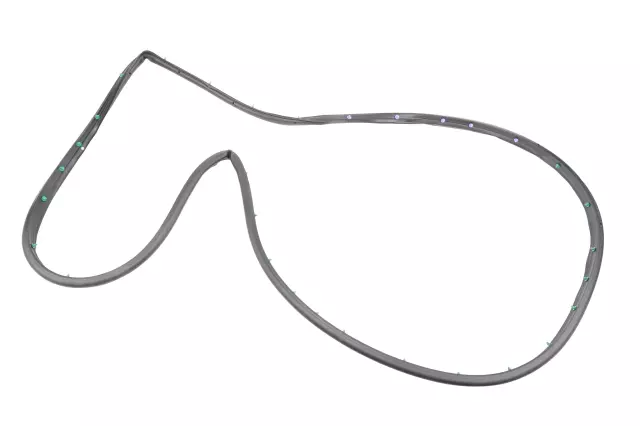 Rear Driver Side Door Weatherstrip