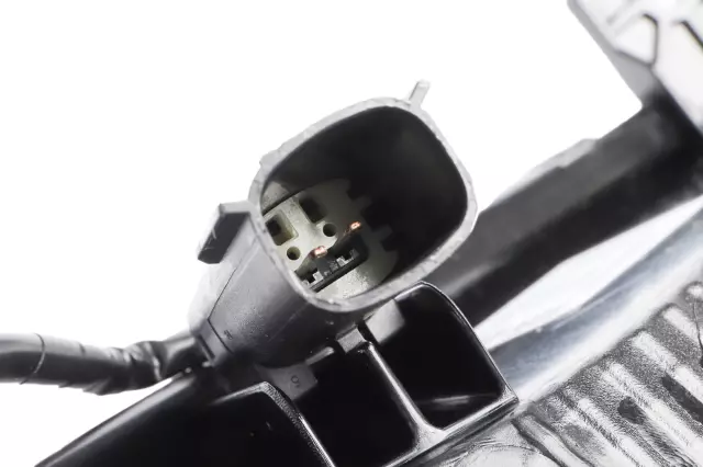 Signal Lamp Assembly