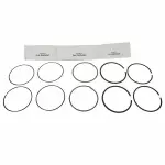 Piston Rings