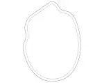 Thermostat Gasket