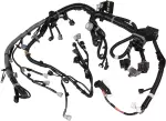 Engine Wiring Harness