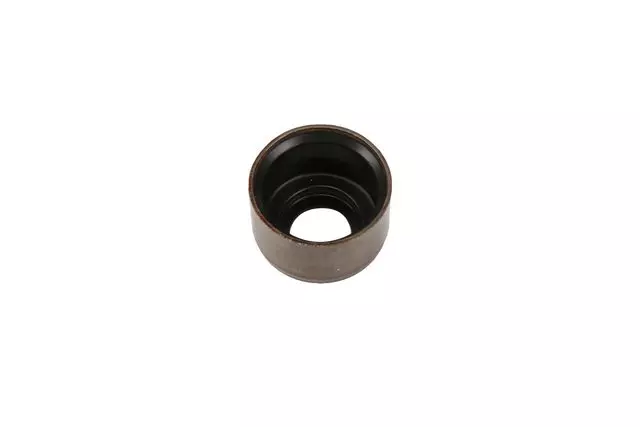 Valve Stem Oil Seal