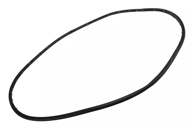 Front Driver Side Door Weatherstrip