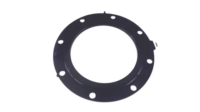 Fuel Pump Tank Seal