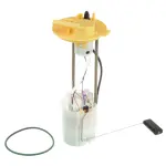 Delphi Fuel Pump Module Assembly