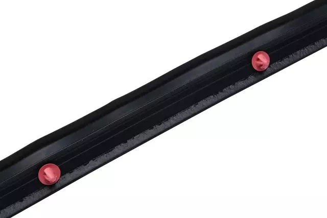 Front Driver Side Door Weatherstrip