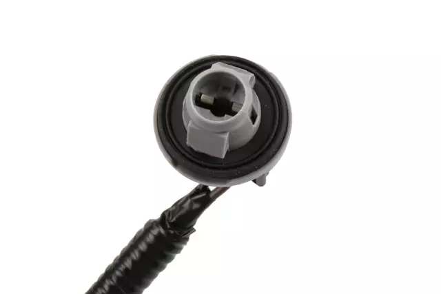 Rear License Plate Lamp Wiring Harness