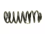 2007-2017 Ford - Coil Spring