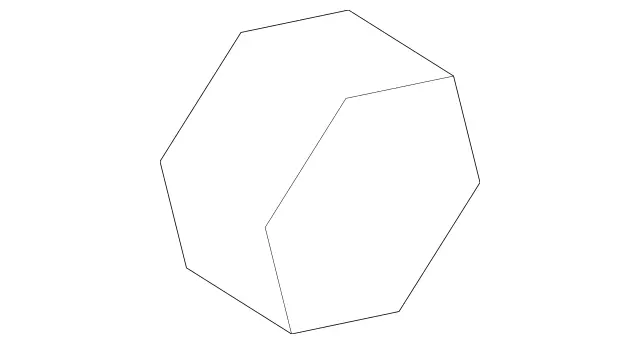 Hexagon Nut