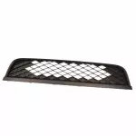 2010-2012 Ford Mustang - Lower Grille