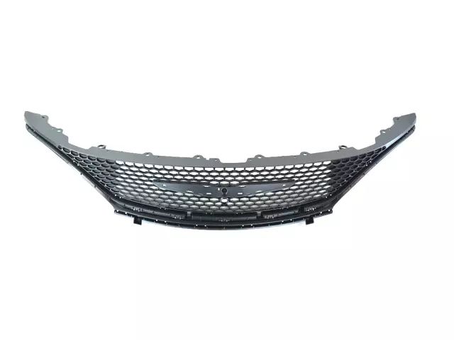 Radiator Grille