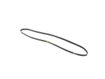 Serpentine Belt