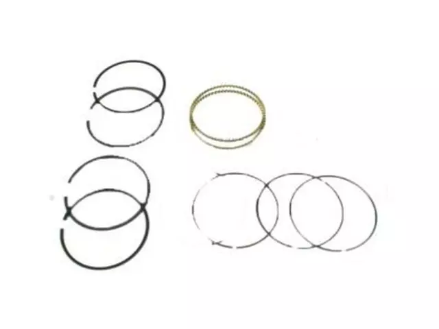 1995-2019 Ford - Piston Rings