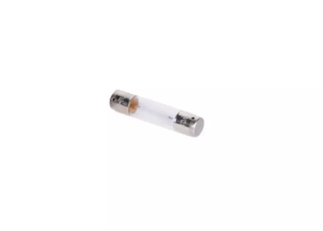 Multi-Purpose Light Bulb