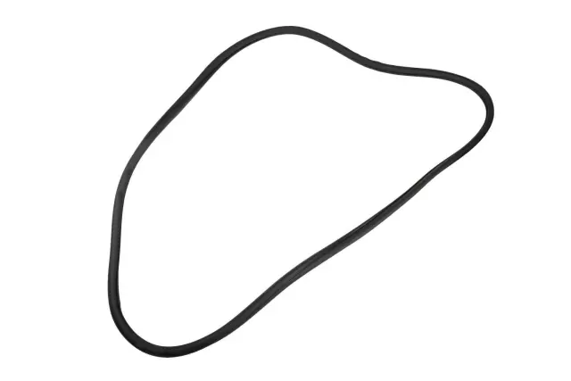 Jet Black Front Side Door Weatherstrip