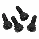 Center Seat Belt Screw