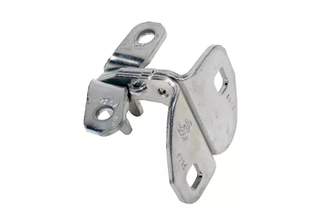Rear Driver Side Door Lower Hinge
