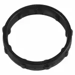 Oil Cooler Gasket