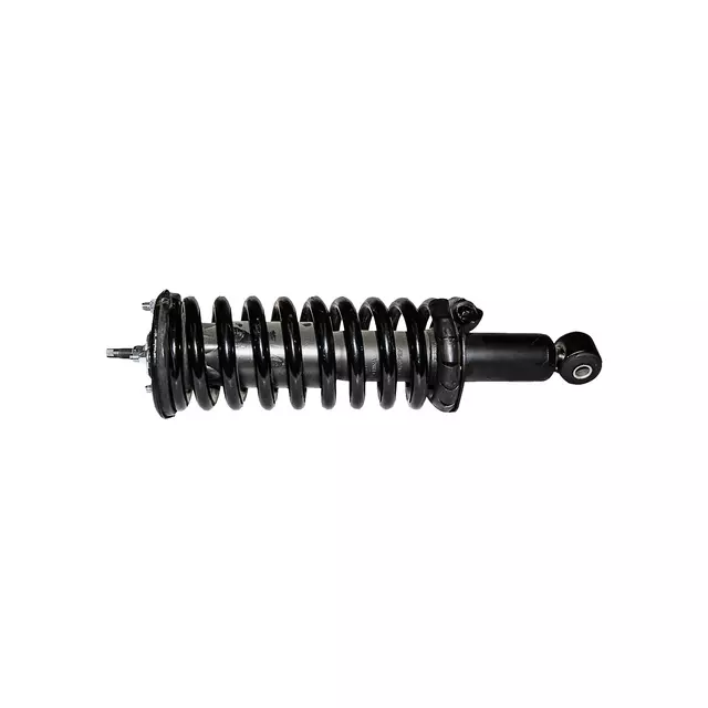 Front Suspension Strut and Coil Spring Assembly