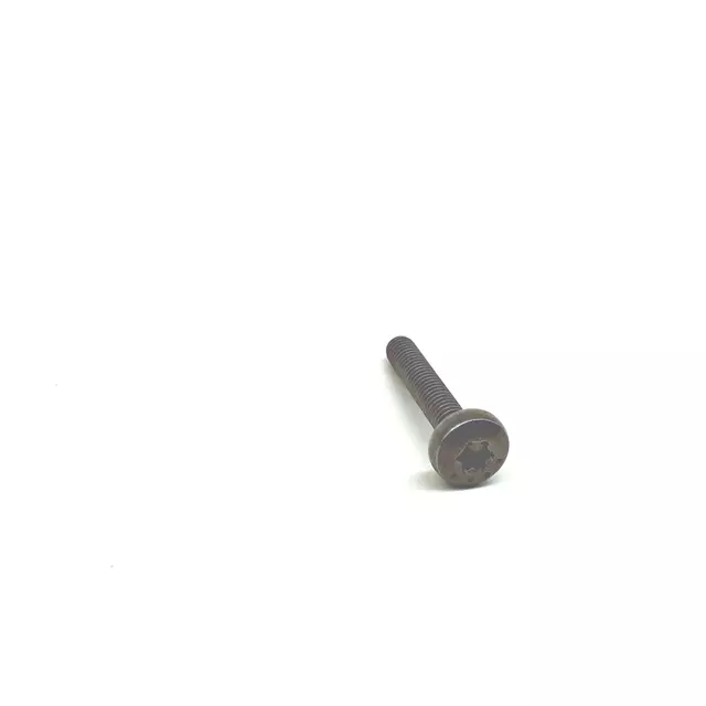 Headlamp Assembly Screw