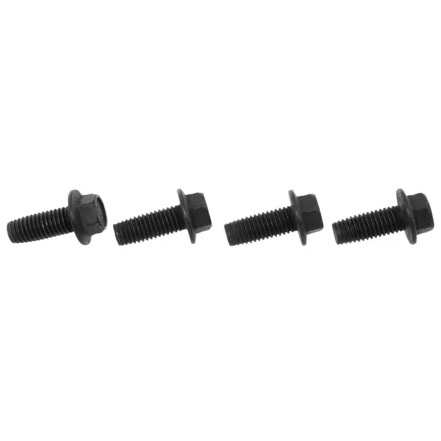 Seat Belt Lap And Shoulder Belt Screw