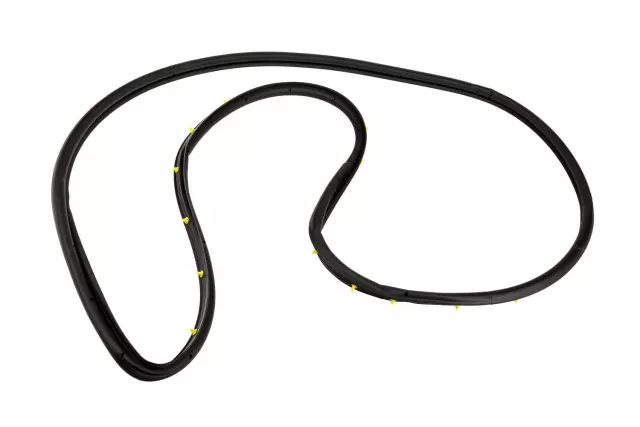 Front Driver Side Door Weatherstrip