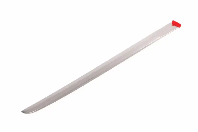 Genuine GM Galvano Silver Rear Passenger Side Door Molding 23264123