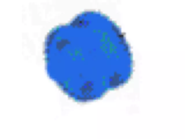 2017-2025 Ford Crankshaft Gear HL3Z-6306-A | OEM Parts Online