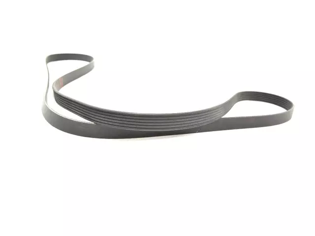 Serpentine Belt