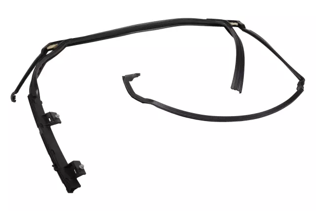 Rear Passenger Side Door Window Weatherstrip