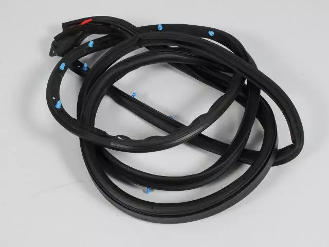 2011-2023 Dodge Charger Front Door Mounted Weatherstrip, Left