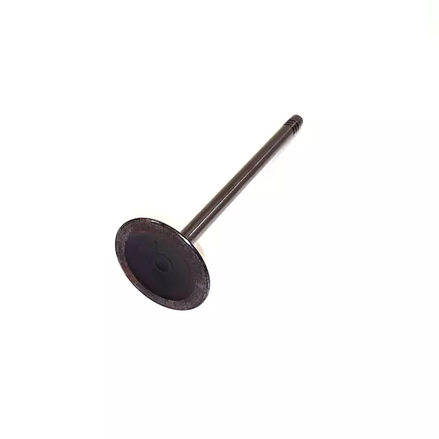 Intake Valve