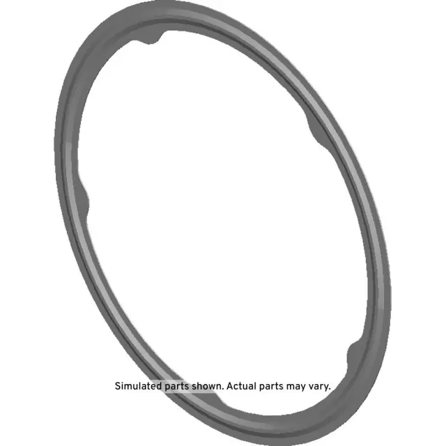 Catalytic Converter Gasket