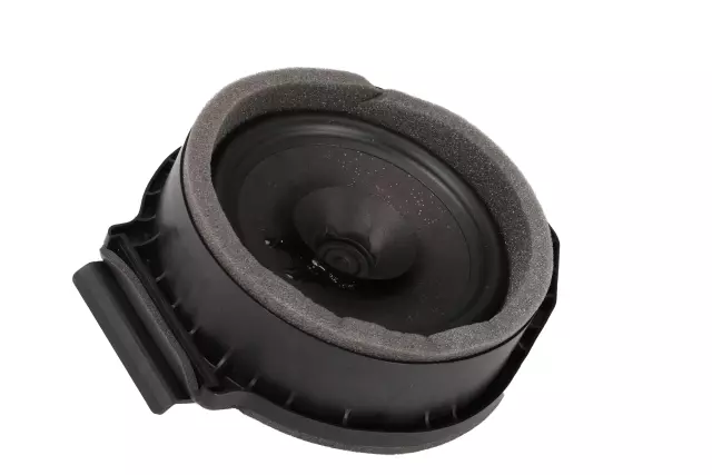 Rear Side Door Radio Speaker