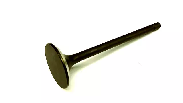 Exhaust Valve