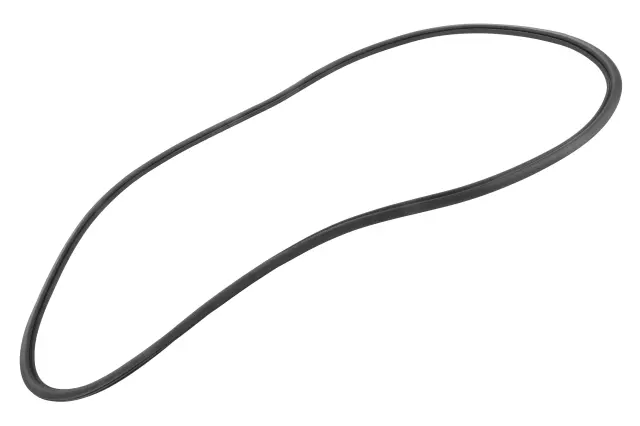 Rear Passenger Side Door Weatherstrip