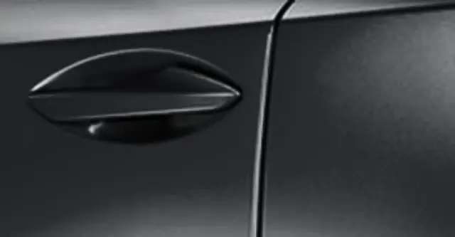2024-2026 Lexus Door Edge Guards - Graphite Black Gf PT936-78220