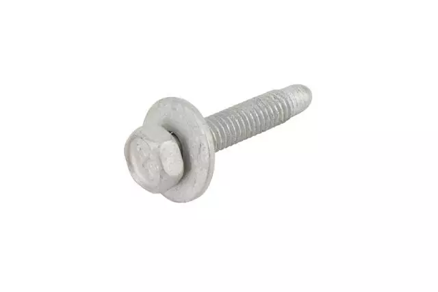 Multi-Purpose Bolt