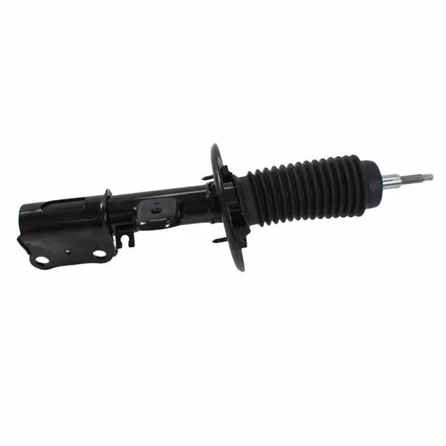 2013-2019 Ford - Strut
