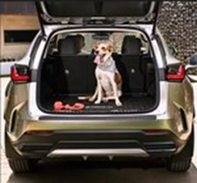 Pet Divider