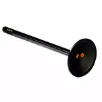 Intake Valve
