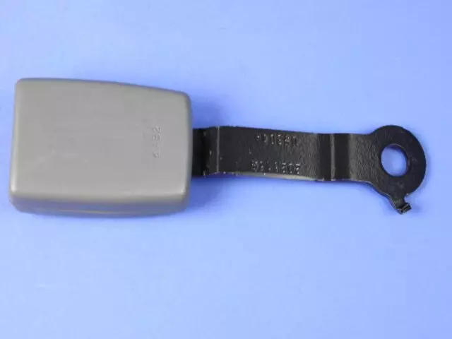 Rear Inner Seat Belt