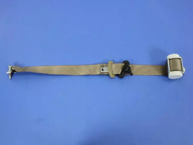 Rear Outer Seat Belt