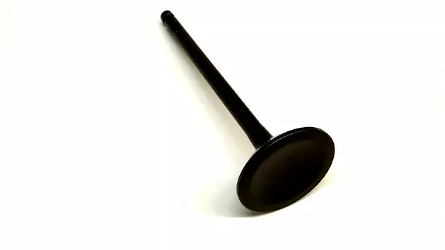 2002-2005 Subaru Impreza - Exhaust Valve