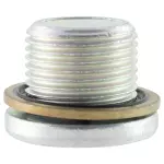 Differential Assembly Drain Plug