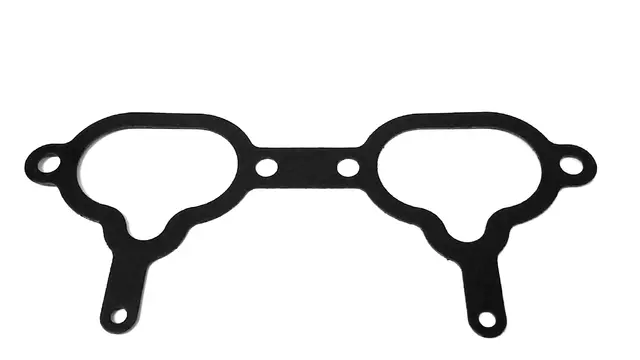 Manifold Gasket