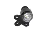 Front Lower Control Arm Ball Joint