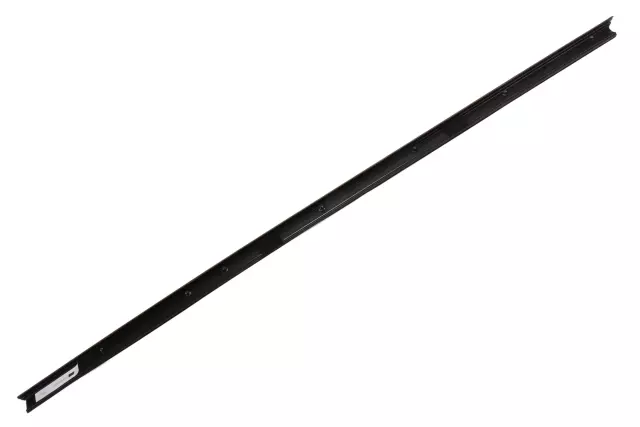 Driver Side Front Door Window Outer Sealing Strip